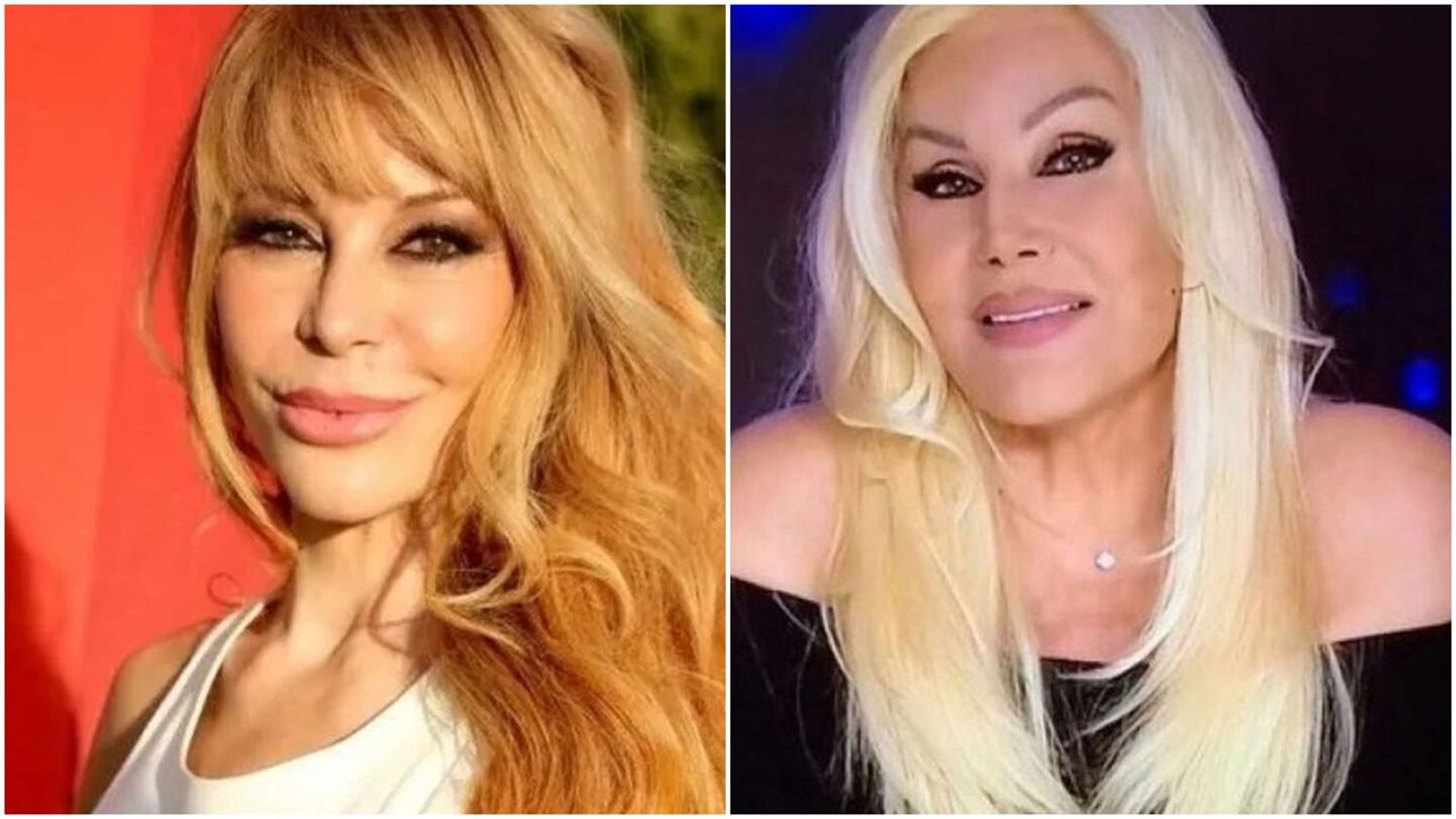 La guerra entre Susana Giménez y Graciela Alfano