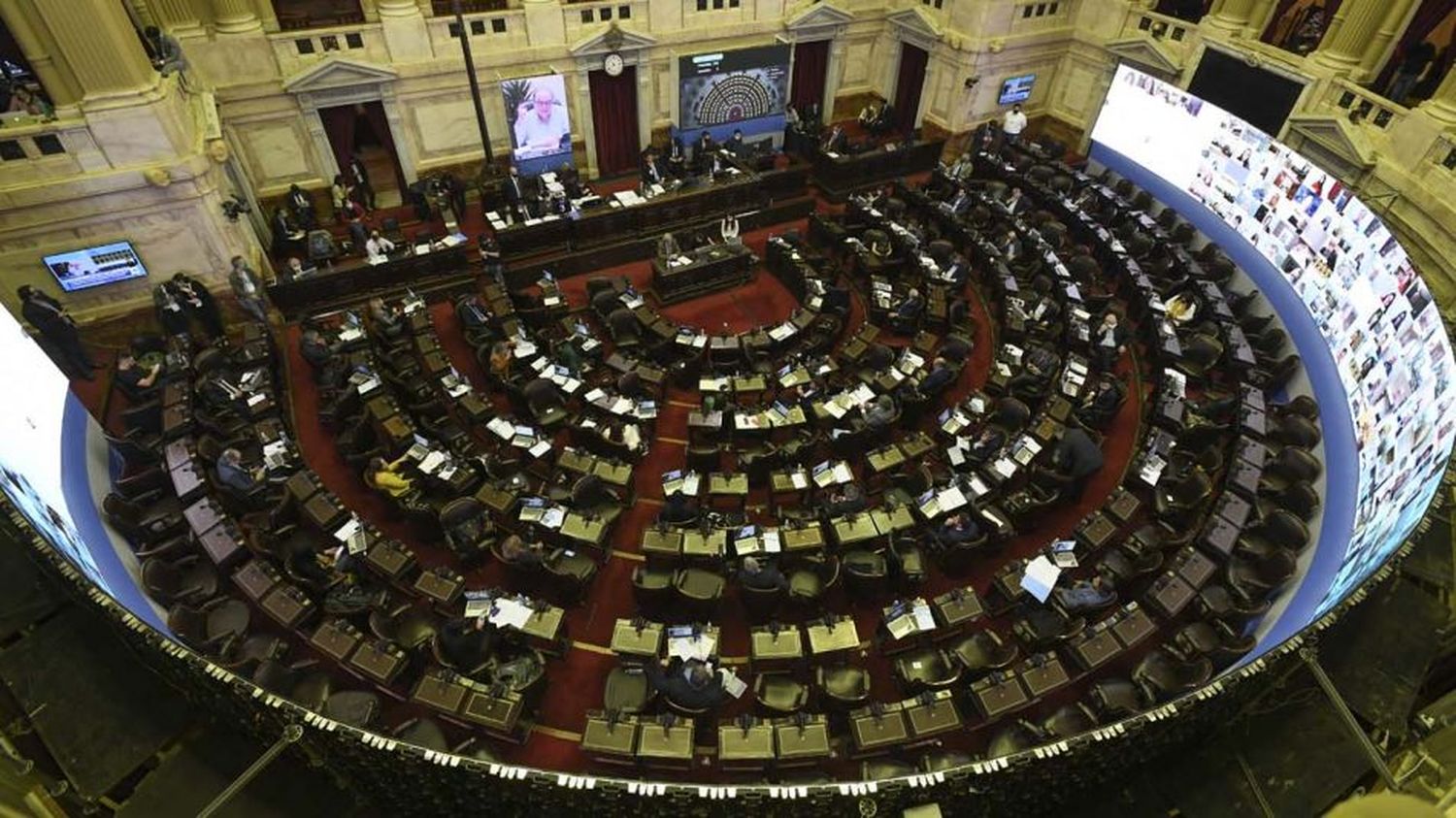 En vivo: Diputados avanza en el proyecto de Ley de Ganadería Ovina