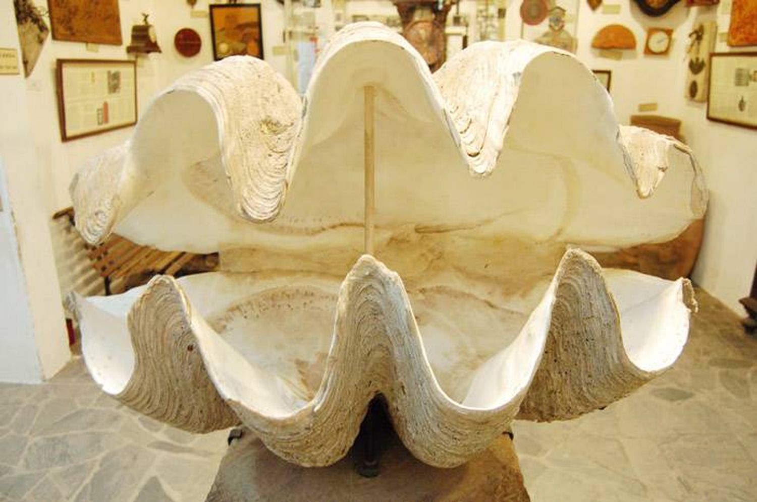 Tres museos imperdibles de Córdoba