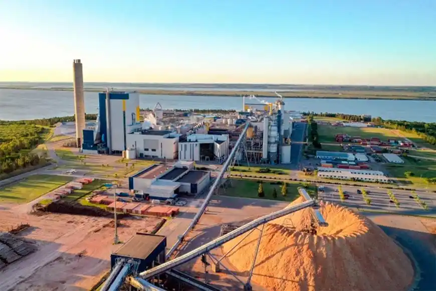 Vuelven a denunciar que la CARU “esconde el resultado de los análisis de impacto ambiental de Botnia”