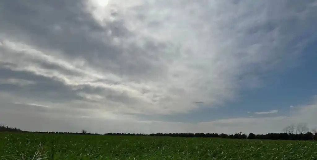 La mayor parte del área agrícola argentina observará precipitaciones moderadas, observándose un foco con valores superiores a 50 mm en el extremo sudeste de Santa Fe.