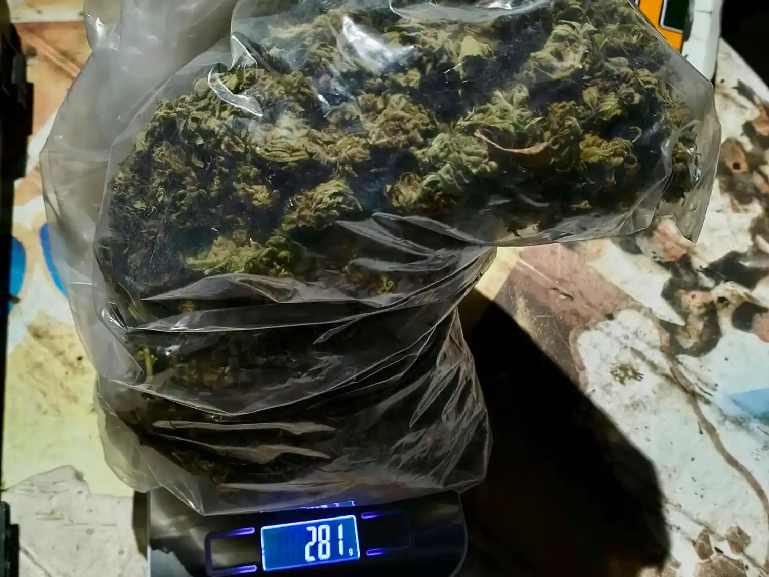 Prefectura realizó allanamientos por una causa de extorsión: un detenido y secuestro de drogas en Mar del Plata
