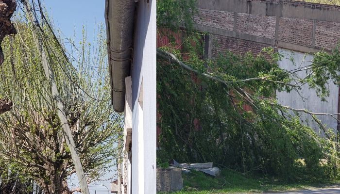 Río Tala: “¿Y el poste de luz? bien, gracias”
