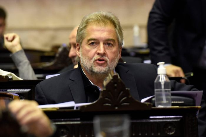 Mirabella en la Cámara de Diputados de la Nación