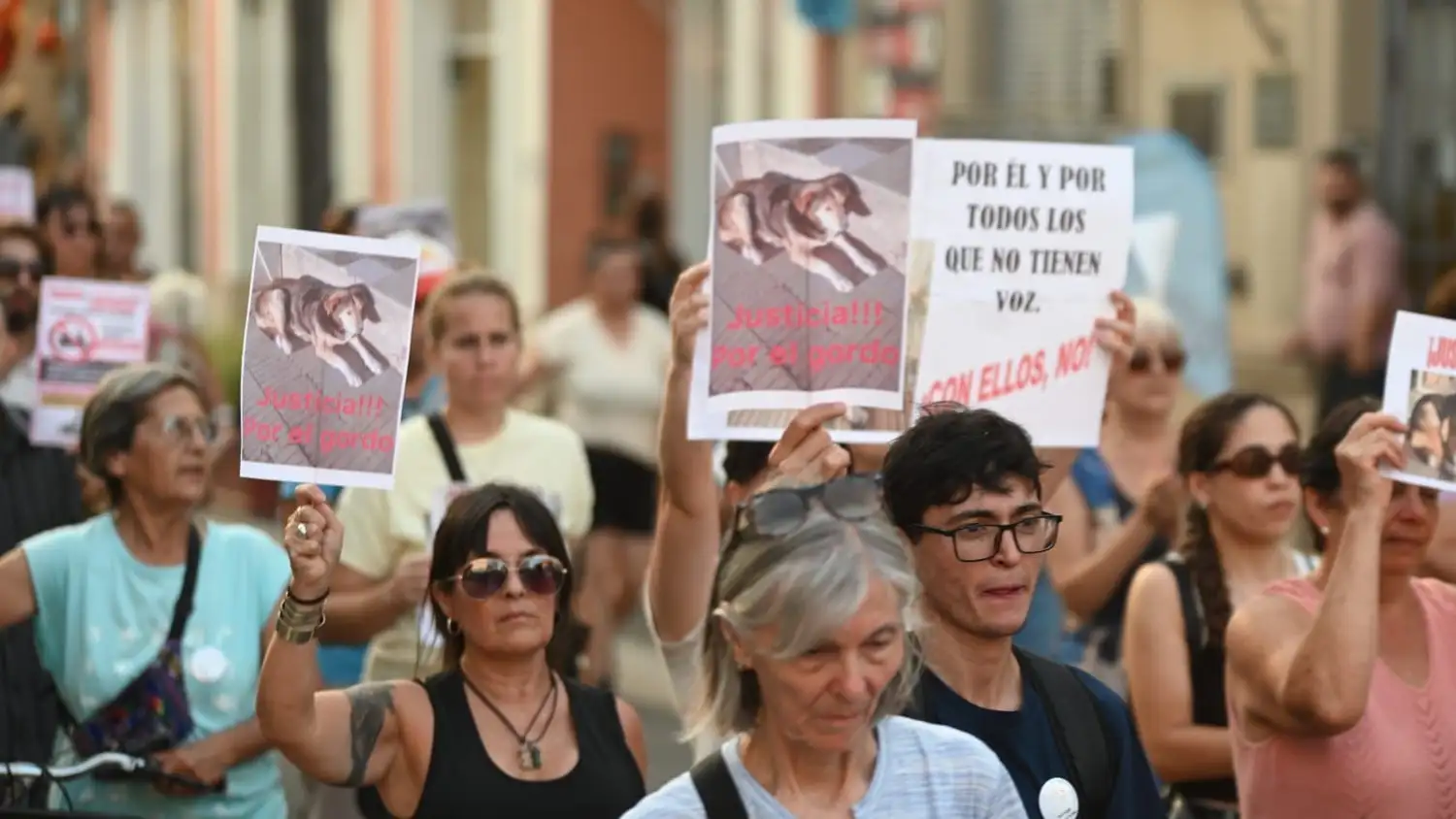 BERRUGON MARCHA - 5