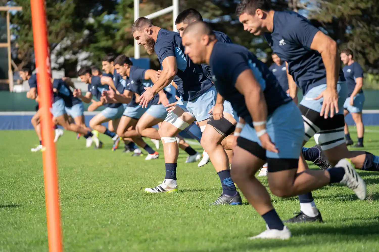 Los Pumas hicieron doble turno en Marsella.