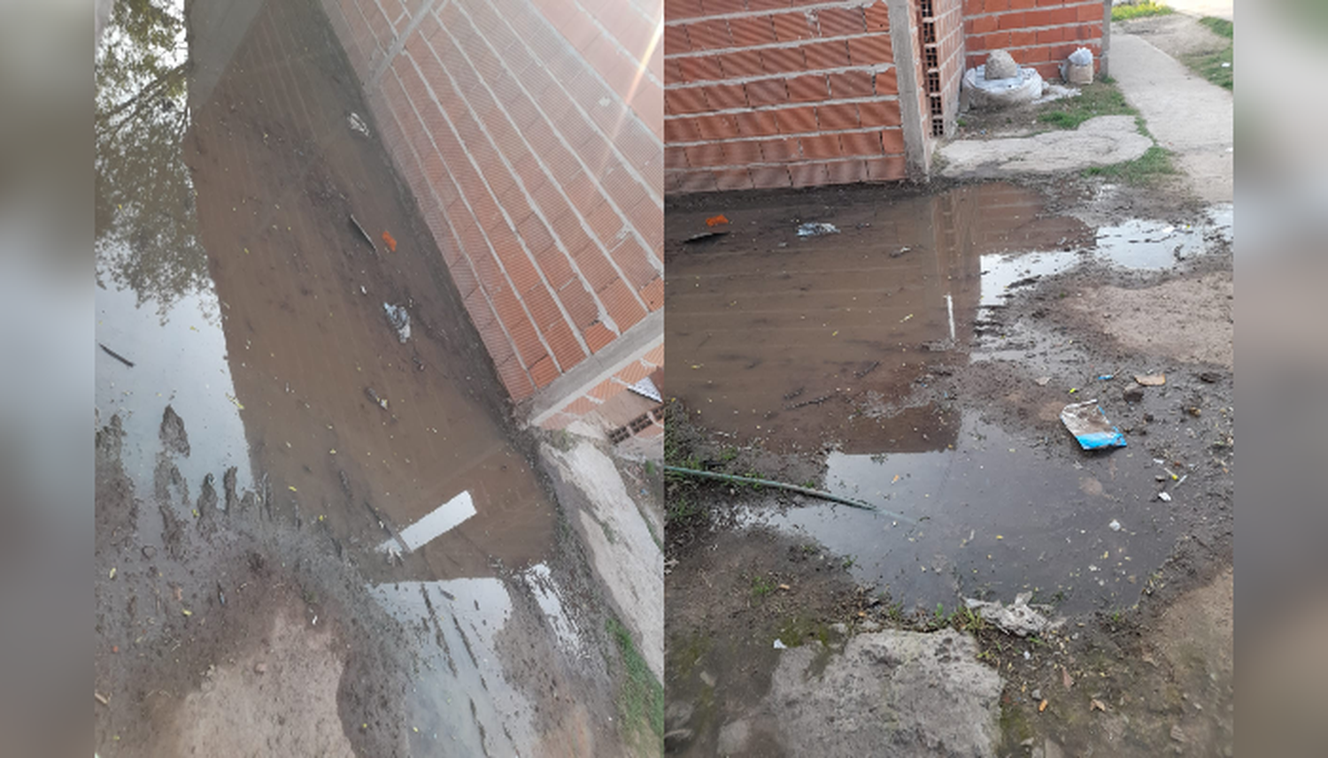 Cloacas rebalsadas en Barrio Argentino