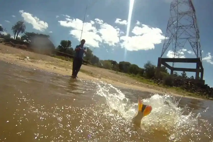 CHAMARRITA �SPARAJE DE LA TORTUGA⬝