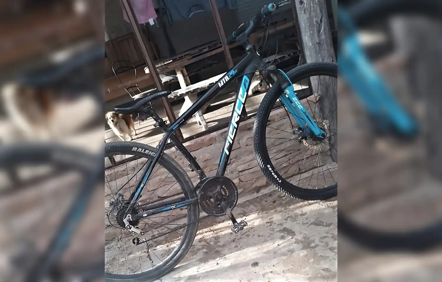 Robaron una bicicleta en el barrio Casini