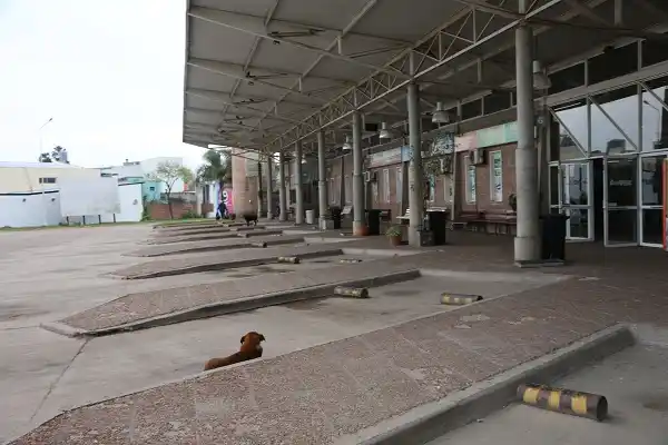 Comenzó un paro de colectivos de larga distancia: no circularán hasta el lunes