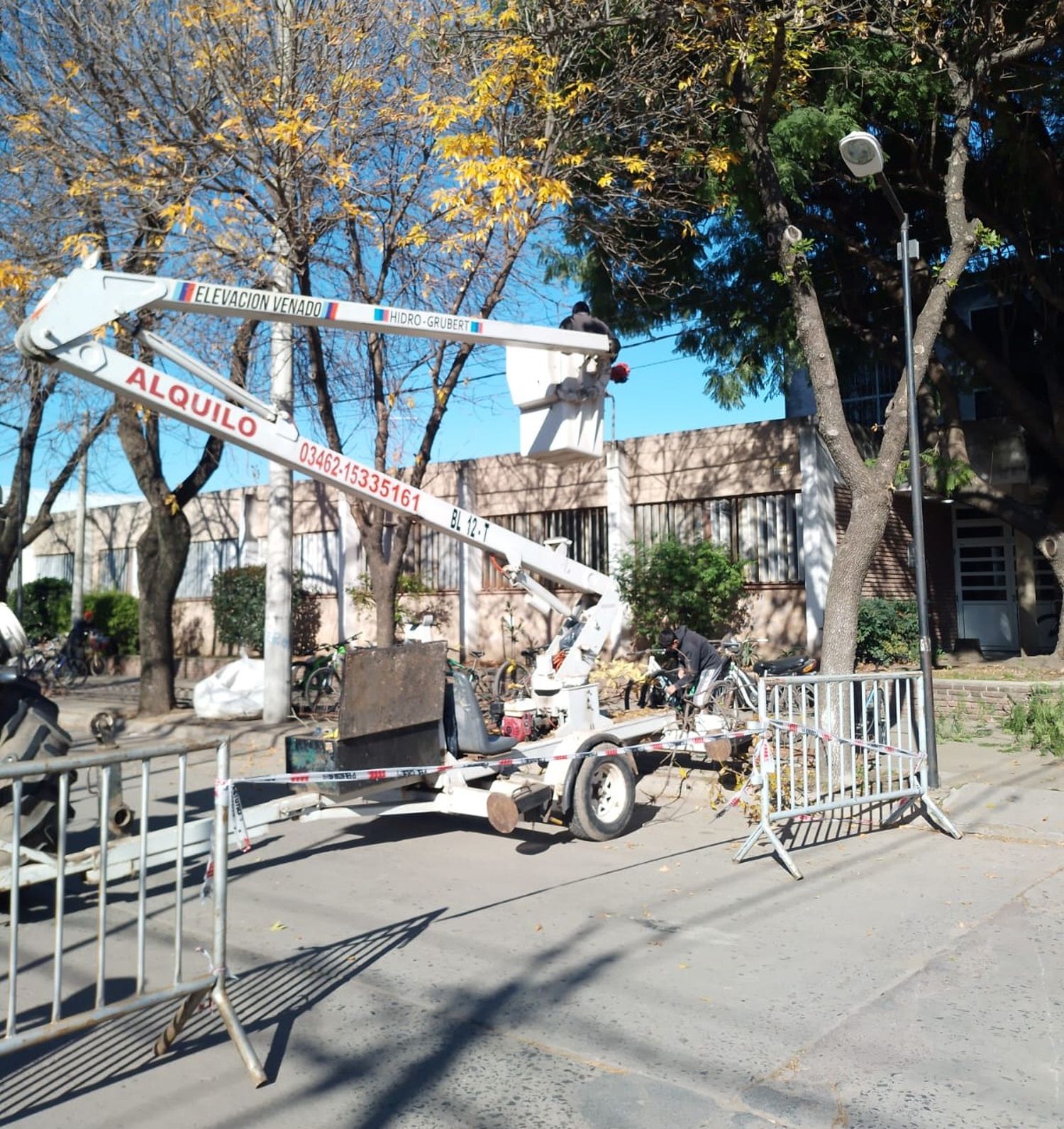 Trabajos de poda en altura.