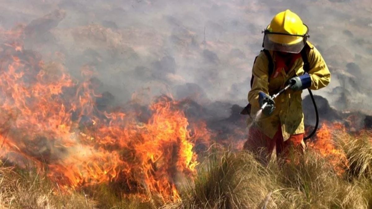 Incendios forestales en Corrientes: son catorce los focos ígneos en la provincia, 10 de ellos permanecen activo