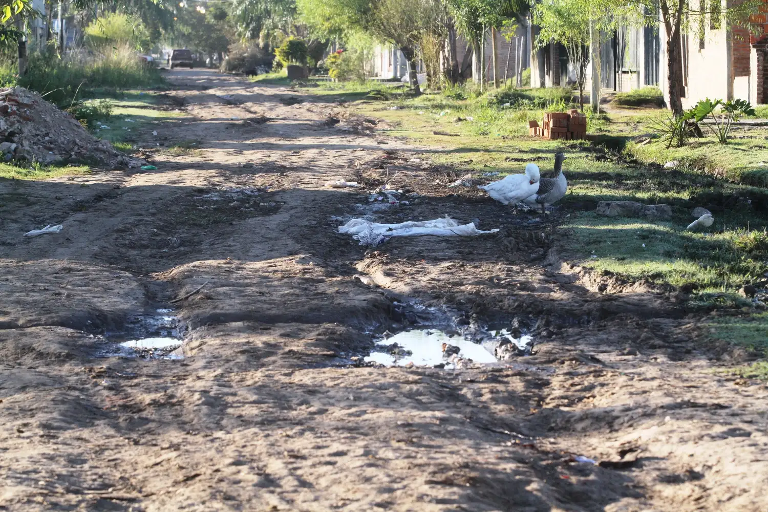 La ciudad tiene 4800 calles de tierra