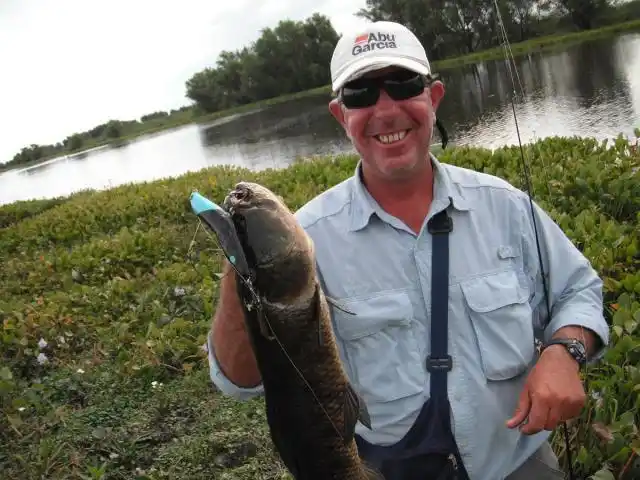 Excelente temporada de pesca deportiva