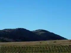 Vinos de Tandil: recibieron la identificación geográfica y las etiquetas marcarán el origen local