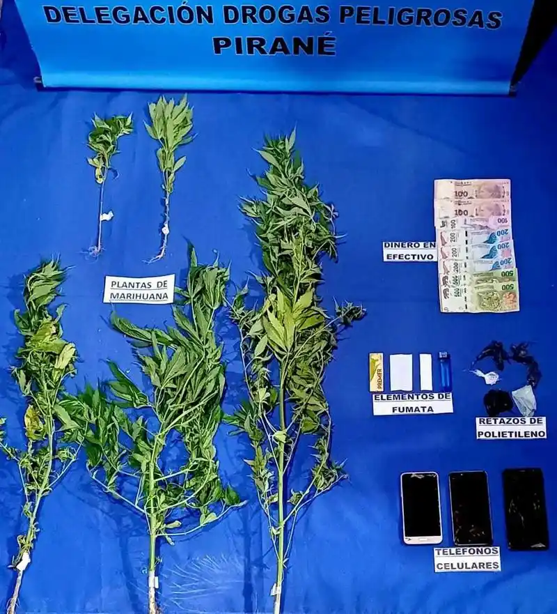 Secuestran un tráiler en el que se transportaban 
animales sin las documentaciones exigidas