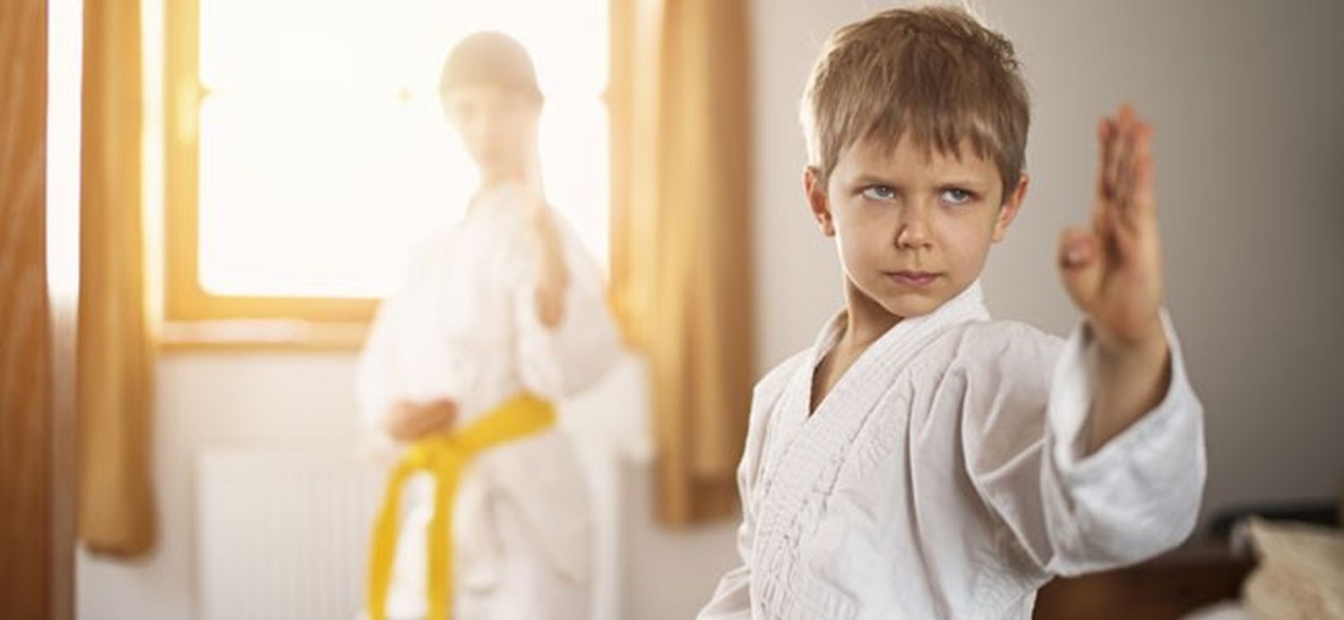 La ciencia confirma que las artes marciales son cosa de listos