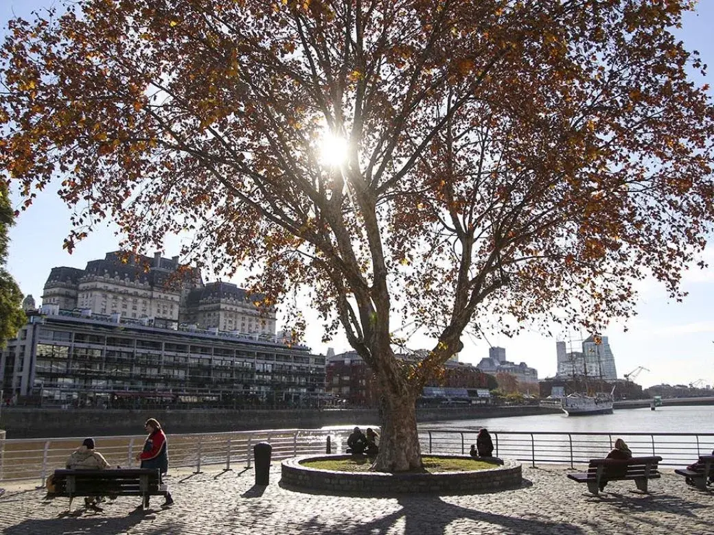 Cómo seguirá el clima en la provincia de Buenos Aires: días templados, lluvias y un nuevo descenso de temperatura
