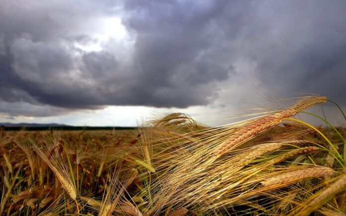 ¿Cómo será la tendencia climática para mayo, junio y julio en distritos bonaerenses?