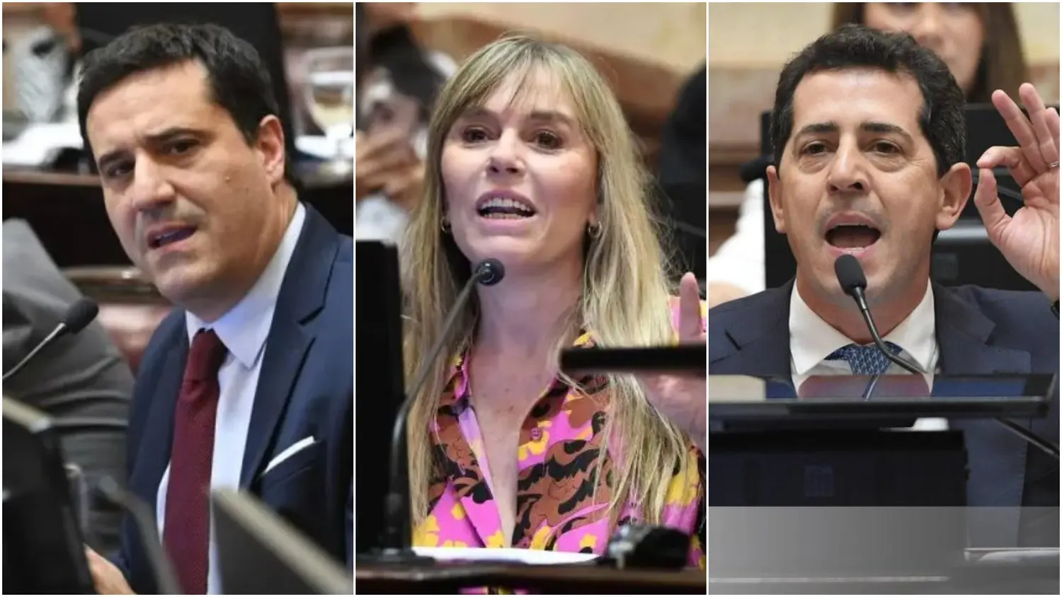 Ley de Propiedad Privada: cómo votaron los tres senadores que representan a la provincia de Buenos Aires