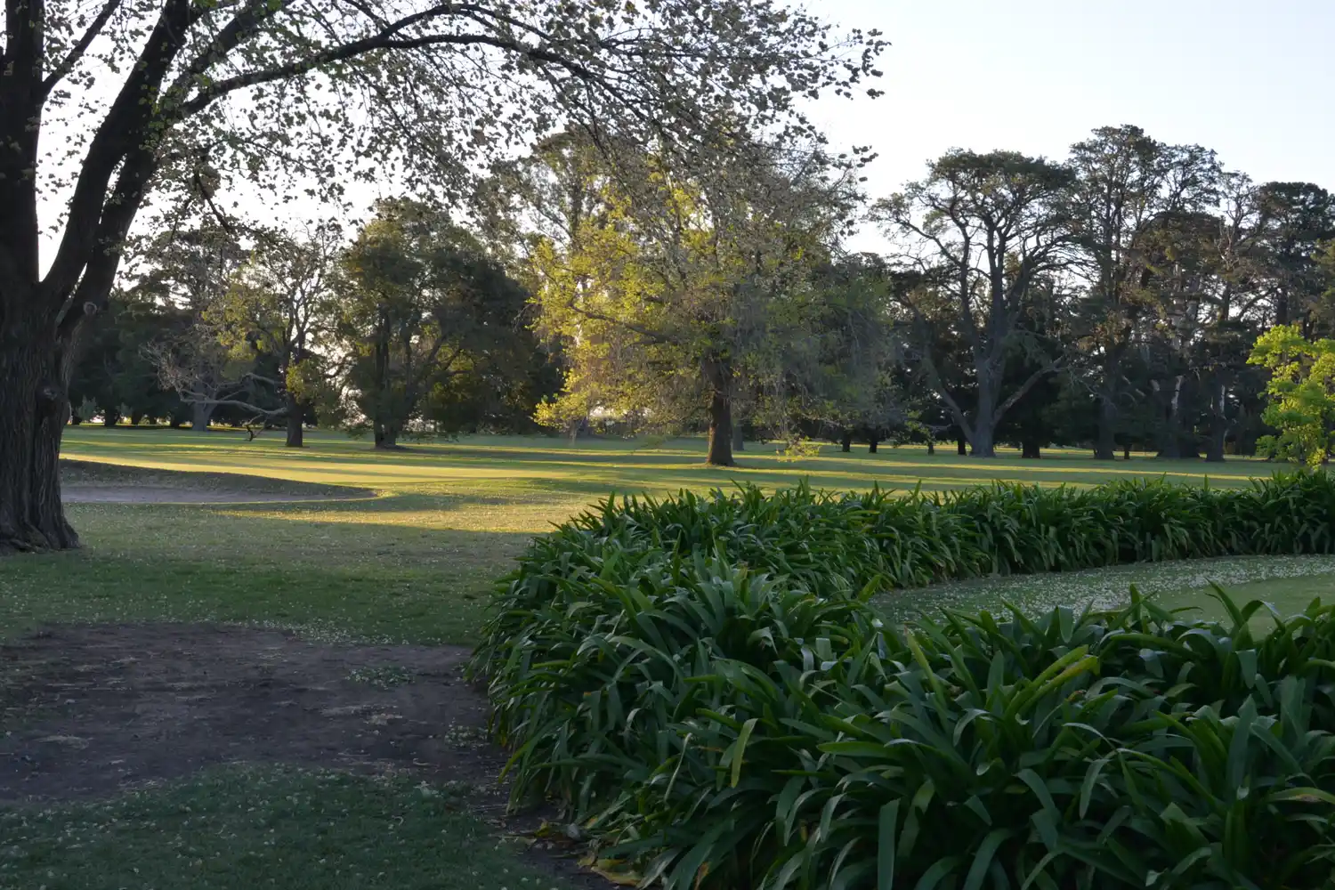 Tandil Golf Club.