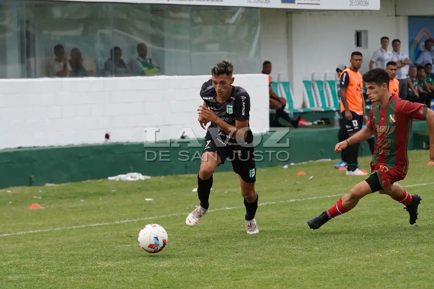 Avaro2