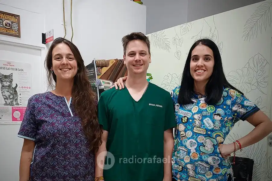 El frío y las mascotas: ¿qué cuidados se merecen los animalitos?