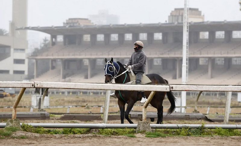 Martes 26: Actividad Hipódromo de La Plata