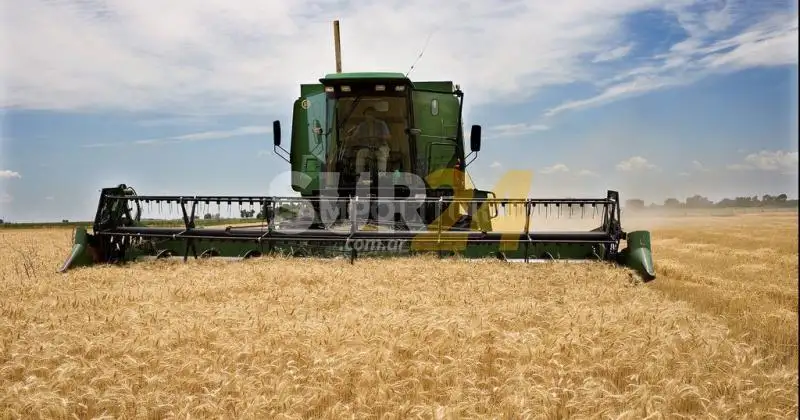Achetoni: “Debemos estar preparados para producir cada vez más”