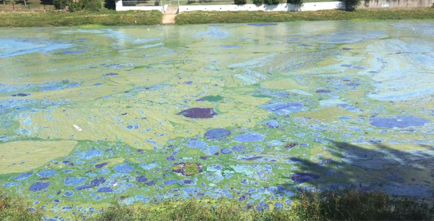 Villa Carlos Paz: preocupa la contaminación del Lago San Roque