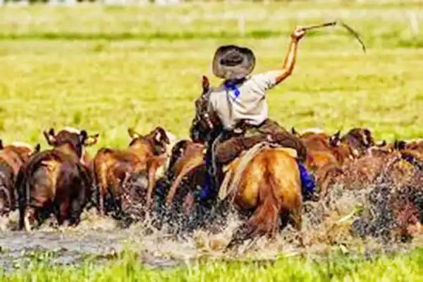 Estampas de mi tierra entrerriana