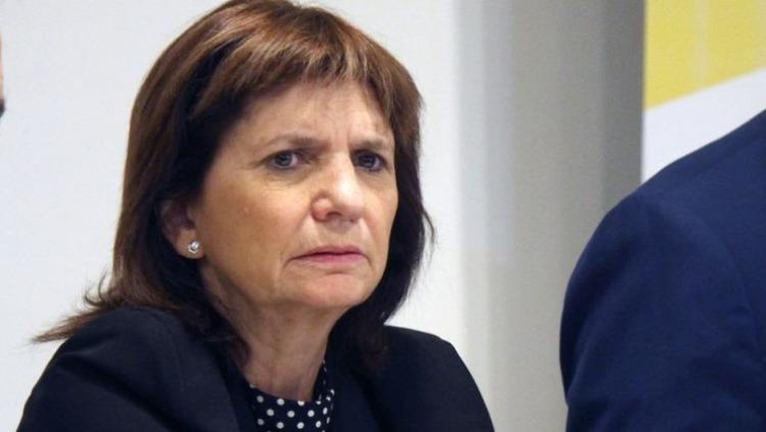 Para Bullrich, "las PASO tienen que ser la regla y no la excepción"