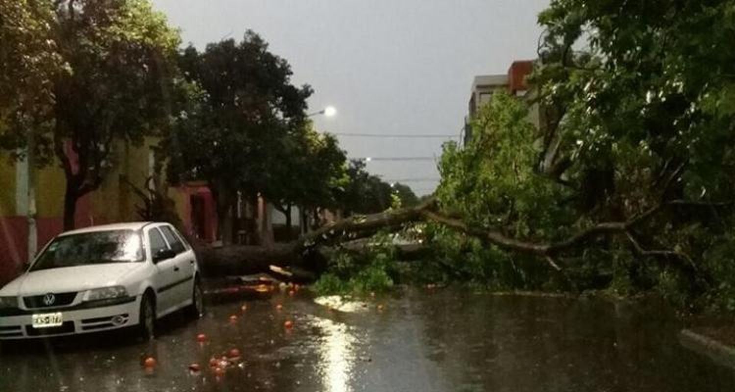 Temporal:  techos volados,  árboles caídos  y ruta cortada