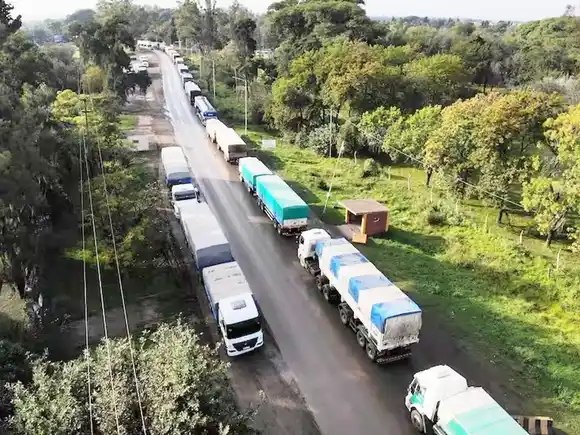 Cosecha récord impulsa el arribo masivo de camiones a puertos cerealeros y anticipa millonaria liquidación