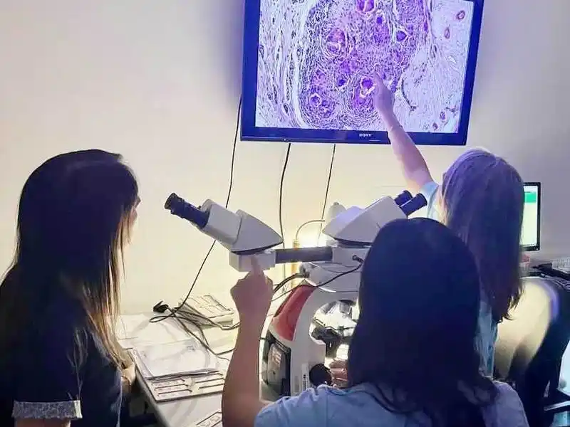 El Servicio de Anatomía Patológica del
HAC se afianza como referente provincial