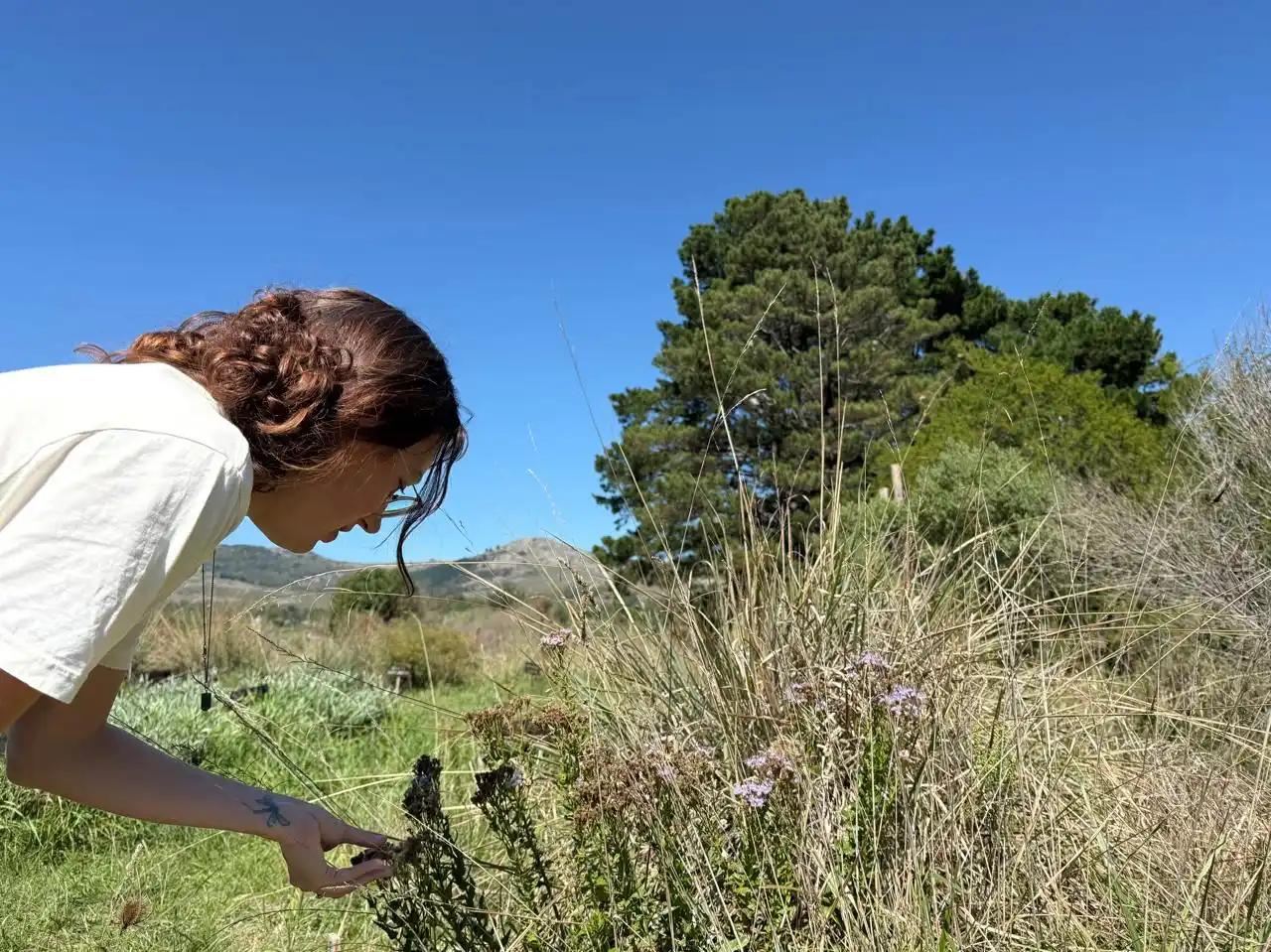 "¿A quién no le gustan las mariposas?", dijo la bióloga a cargo del proyecto que busca compartir la biodiversidad local.