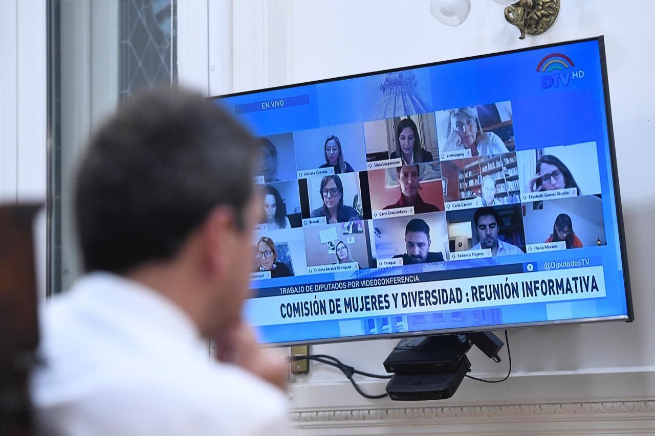 Seguilo en vivo: Reunión de la Comisión de Mujeres y Diversidad en Diputados