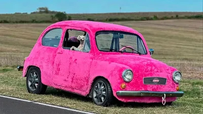 Una joven cubrió de tela de peluche rosa su Fiat 600 y causó furor en Entre Ríos