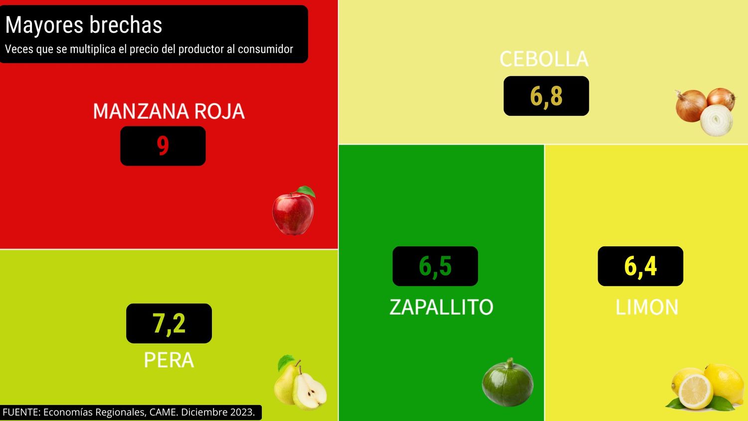 Came informe - 1