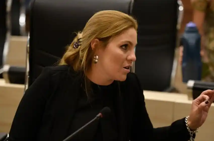 Gigliani no apoyó el aumento en la tarifa de taxis: «Hay que abaratar los costos y no trasladarlo al usuario»