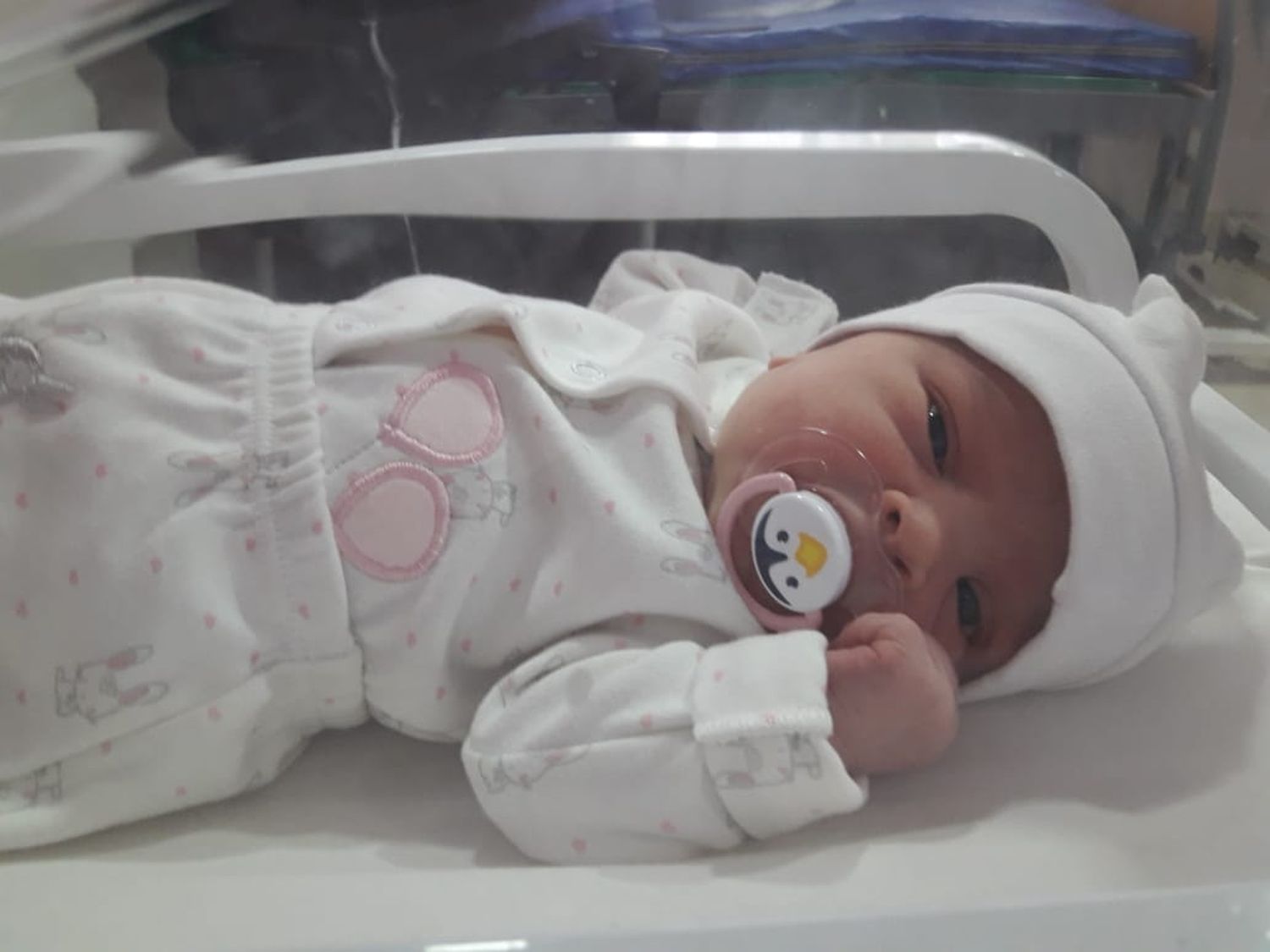 Nacidos en cuarentena: bienvenida, Francina