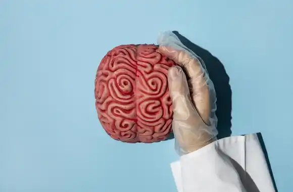 La salud del cerebro es clave para una vida en plenitud