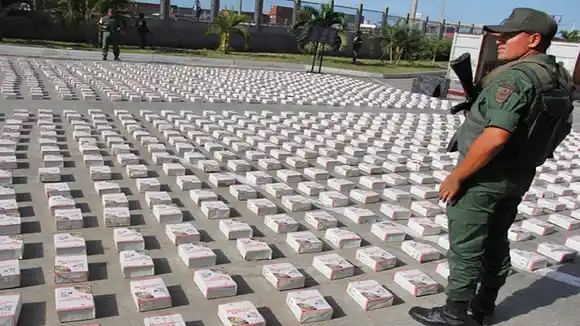 DESMANTELAN DOS CAMPAMENTOS en el Zulia: incautan 5 toneladas de cocaína procedente de Colombia