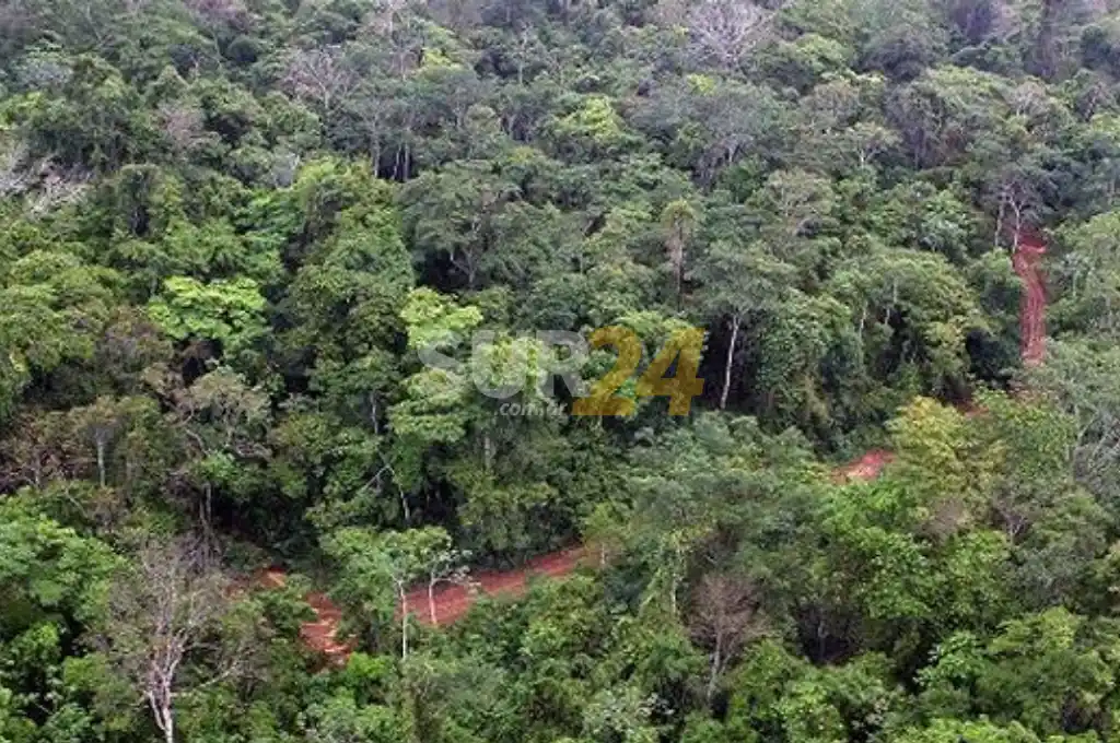 Aprobaron un proyecto de ley para crear un programa Sustentabilidad Ambiental