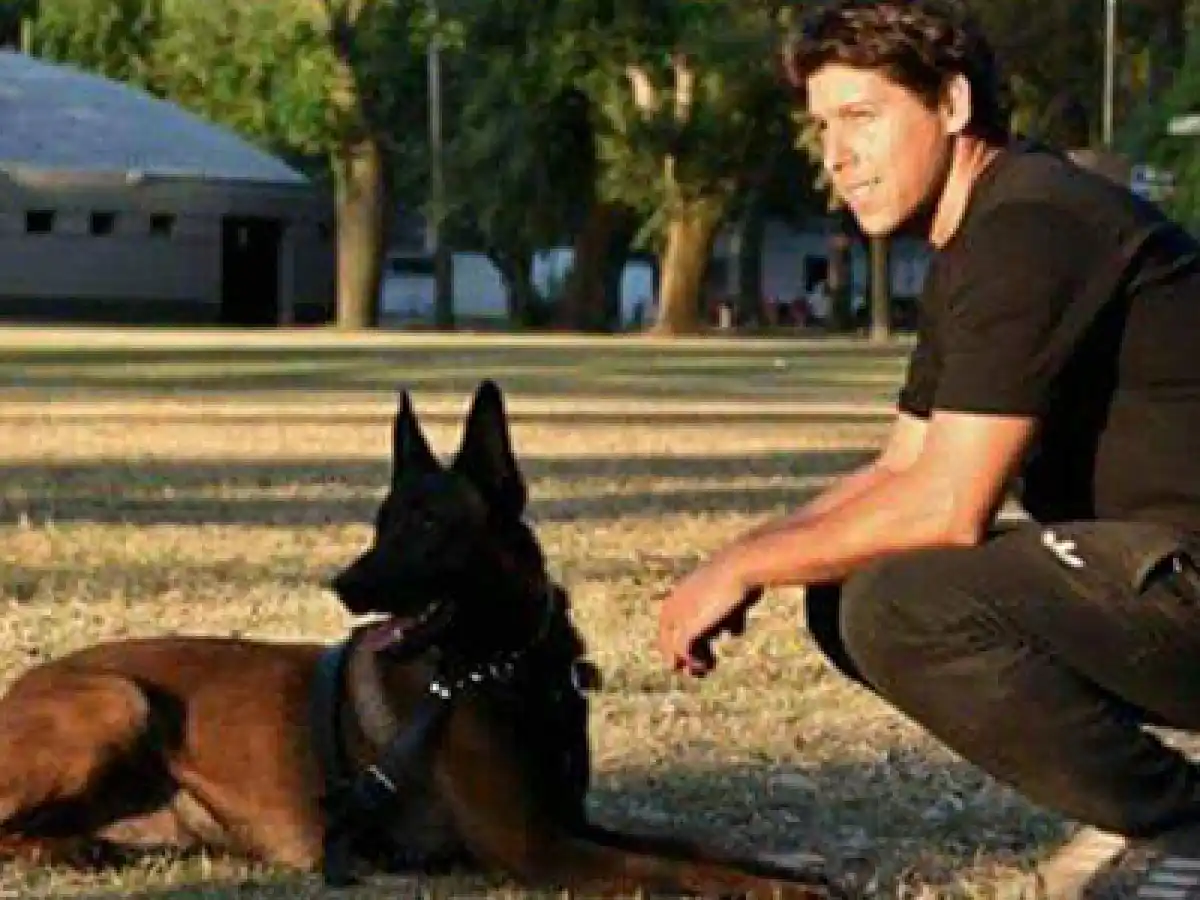 De Villa María a la pantalla: El perro que fue convocado para una serie