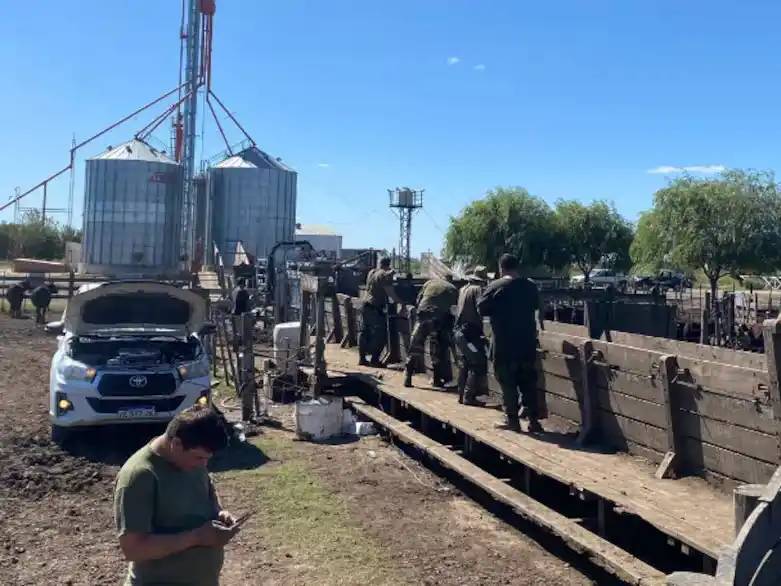 Efectivos de la Patrulla Rural de Olavarría durante el allanamiento en el feedlot santafesino. El operativo fue ordenado por la fiscalía de Azul en el marco de una causa por estafa millonaria.