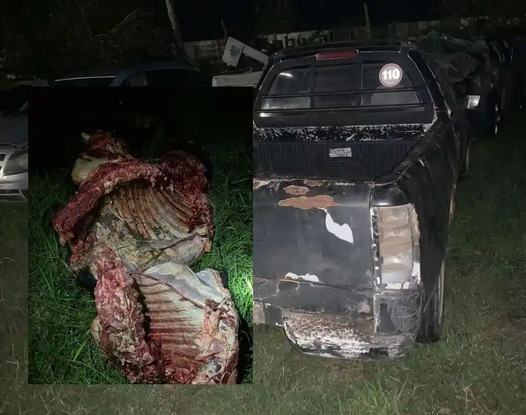 Investigan a Policías de Dolores por presunta participación en “abigeato agravado”