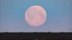 Esta noche se podrá ver la primera super luna rosa del año