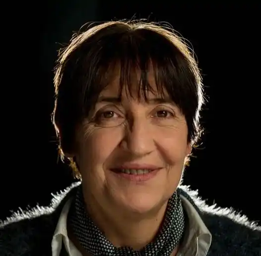 Dengue: se han registrado 47 casos en tres meses