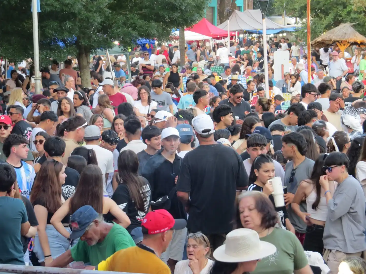 Una multitud llegó a Diego de Alvear para disfrutar de su tradicional fiesta.  Foto: Comuna de Diego de Alvear (Luciano Pereyra)